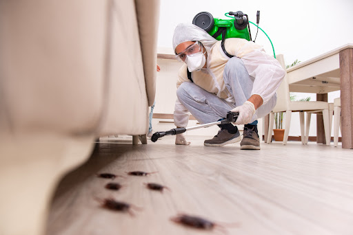 The Types, Services And Benefits Of Hiring A Pest Control Company
