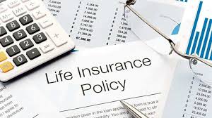 Reasons Why Singles Should Buy Term Insurance Plans 