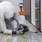 Are The Furniture Pieces Under Attack Discover the Ultimate Furniture Pest Control Solutions